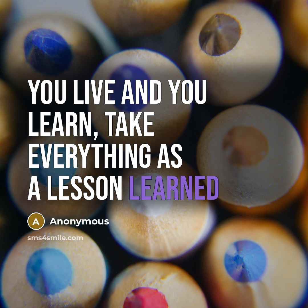“You live and you learn, take everything as a lesson learned” quote by Anonymous