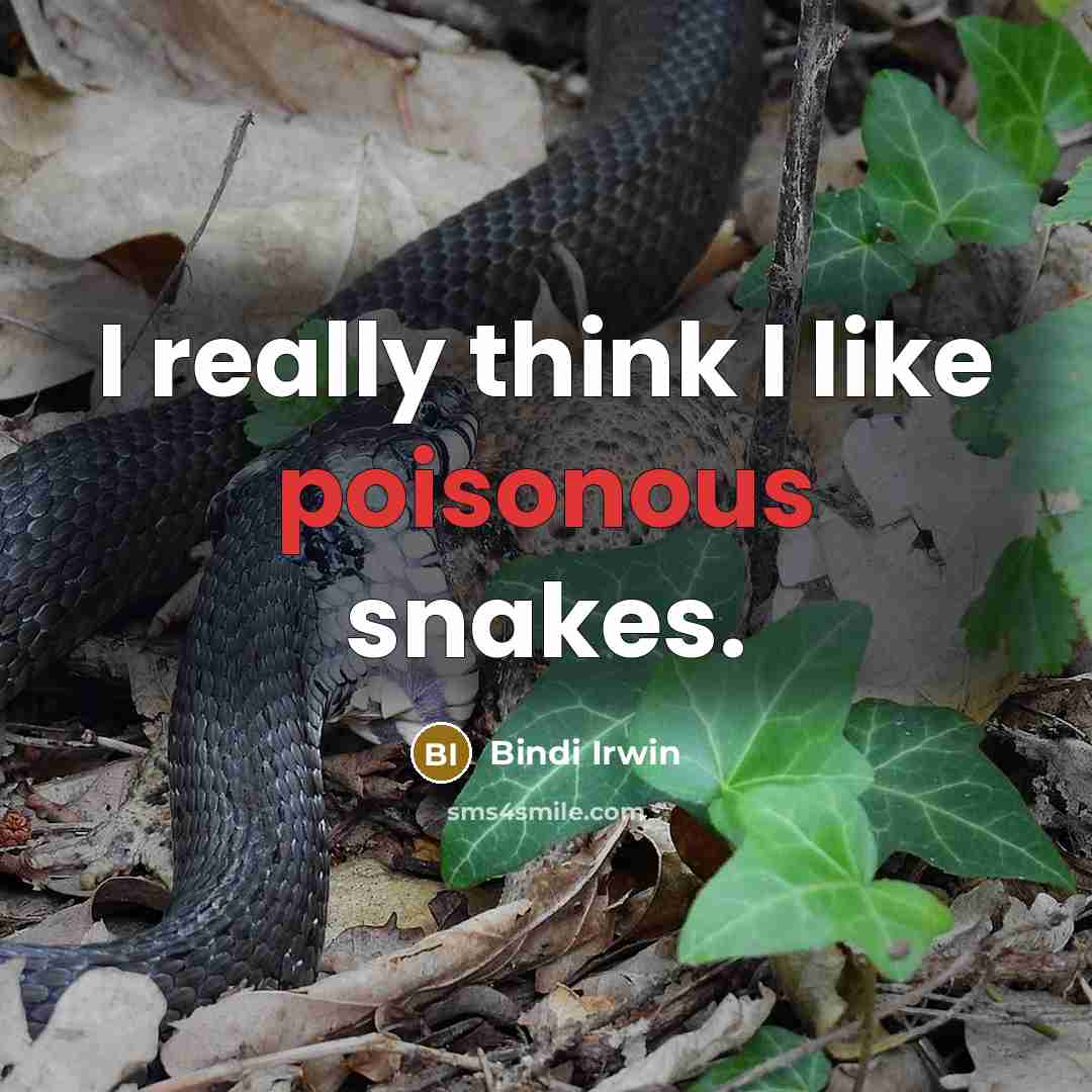 “I really think I like poisonous snakes.” quote by Bindi Irwin