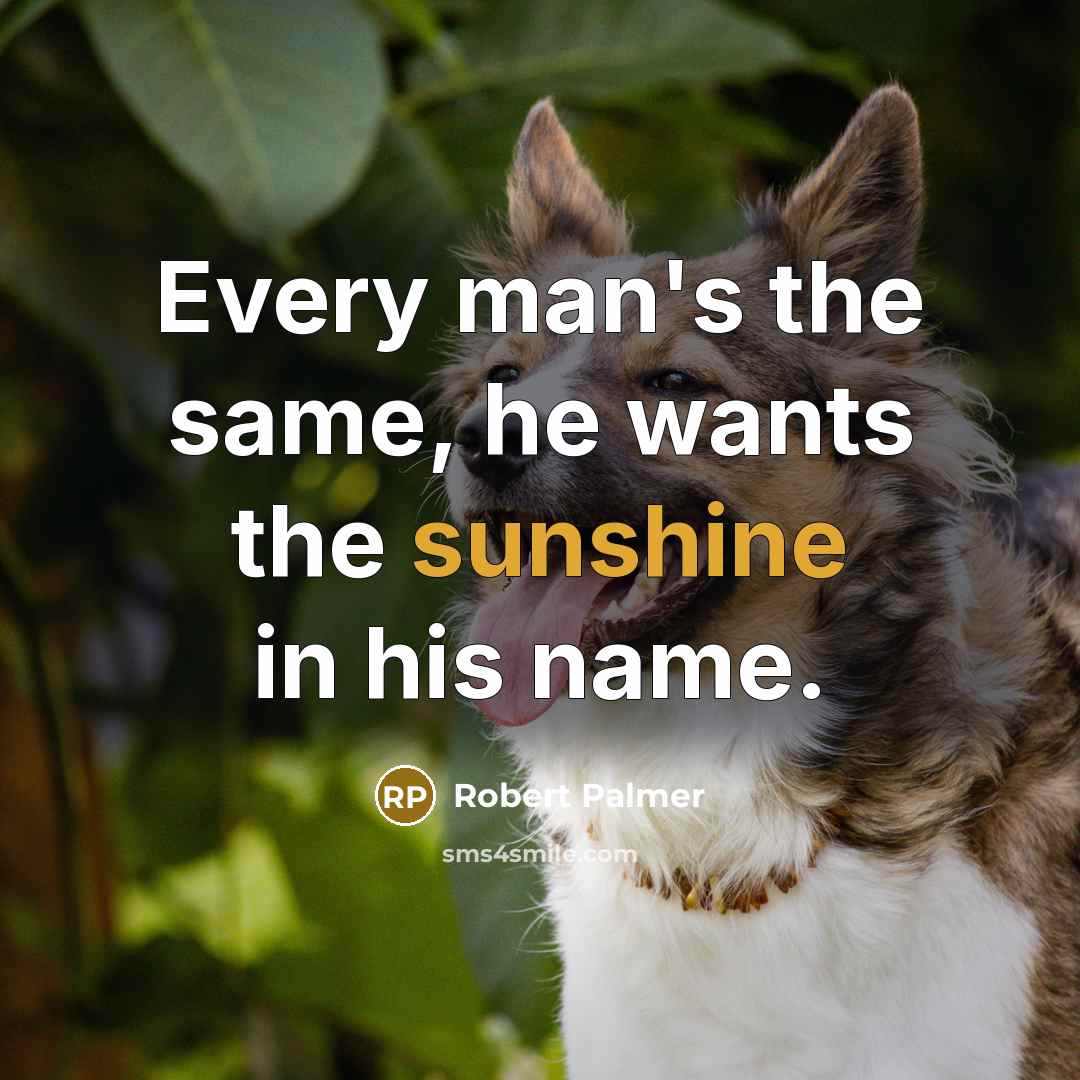 “Every man's the same, he wants the sunshine in his name.” quote by Robert Palmer