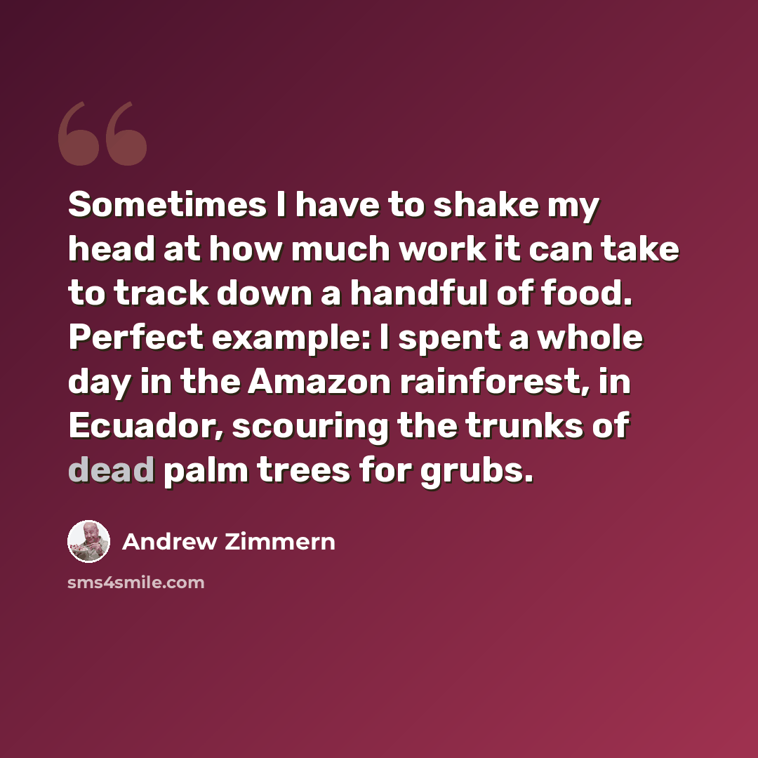“Sometimes I have to shake my head at how much work it can take to track down a handful of food. Perfect example: I spent a whole day in the Amazon rainforest, in Ecuador, scouring the trunks of dead palm trees for grubs.” quote by Andrew Zimmern