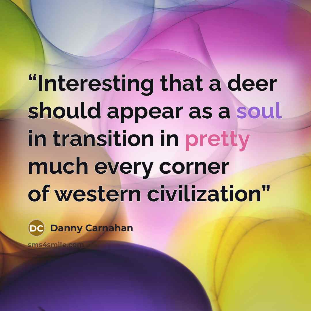 “Interesting that a deer should appear as a soul in transition in pretty much every corner of western civilization” quote by Danny Carnahan