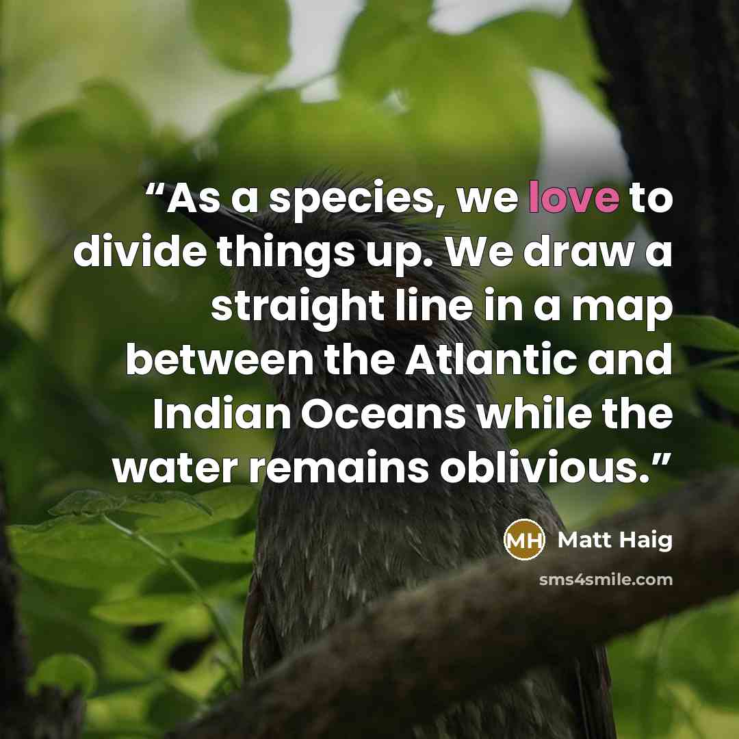 “As a species, we love to divide things up. We draw a straight line in a map between the Atlantic and Indian Oceans while the water remains oblivious.” quote by Matt Haig
