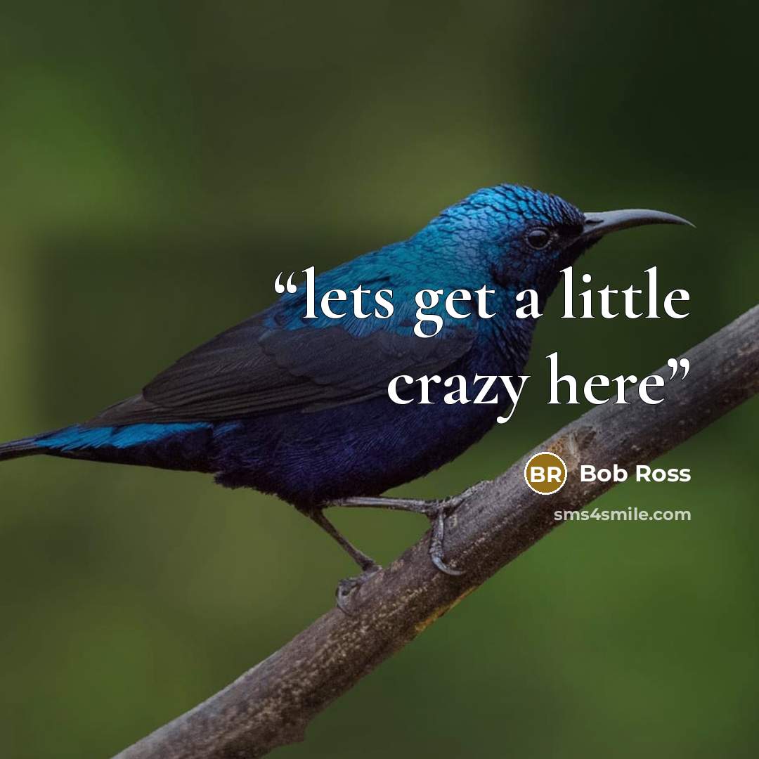 “lets get a little crazy here” quote by Bob Ross
