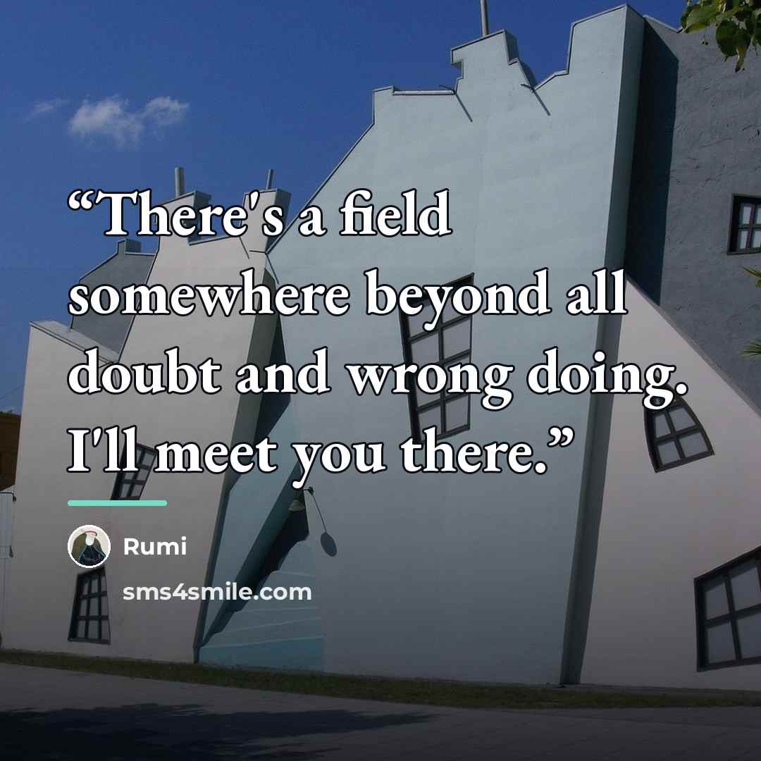 “There's a field somewhere beyond all doubt and wrong doing. I'll meet you there.” quote by Rumi