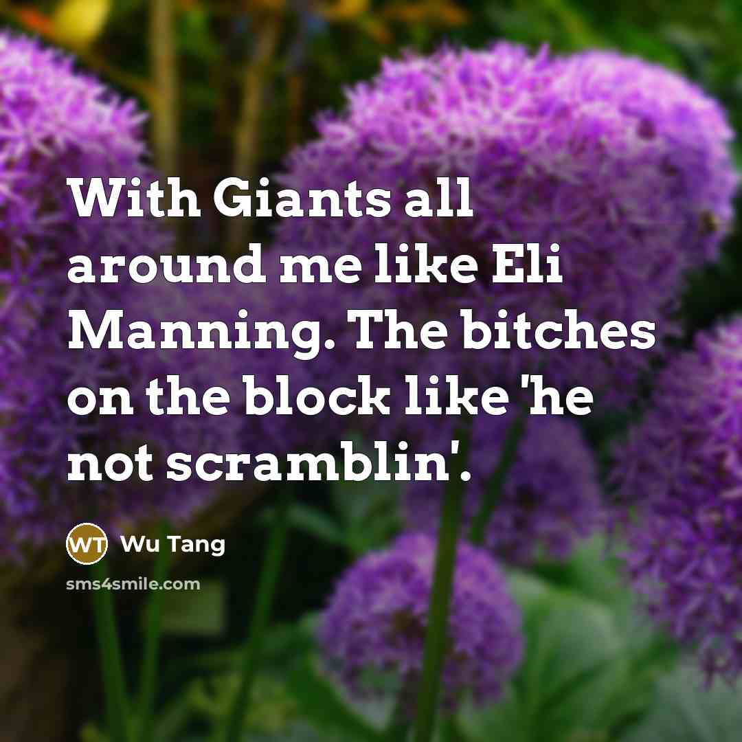 “With Giants all around me like Eli Manning. The bitches on the block like 'he not scramblin'.” quote by Wu Tang