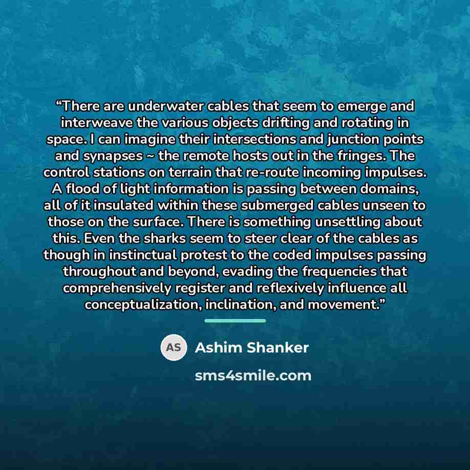 “There are underwater cables that seem to emerge and interweave the various objects drifting and rotating in space. I can imagine their intersections and junction points and synapses ~ the remote hosts out in the fringes. The control stations on terrain that re-route incoming impulses. A flood of…” quote by Ashim Shanker