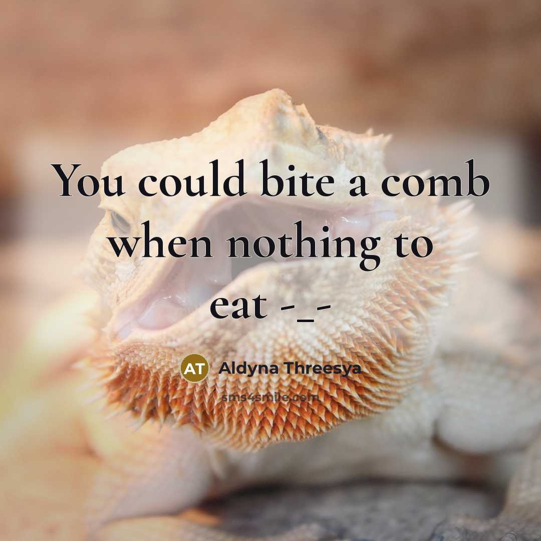“You could bite a comb when nothing to eat -_-” quote by Aldyna Threesya