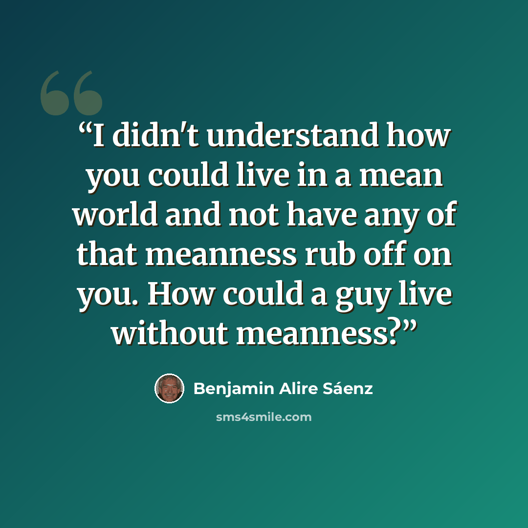 “I didn't understand how you could live in a mean world and not have any of that meanness rub off on you. How could a guy live without meanness?” quote by Benjamin Alire Sáenz