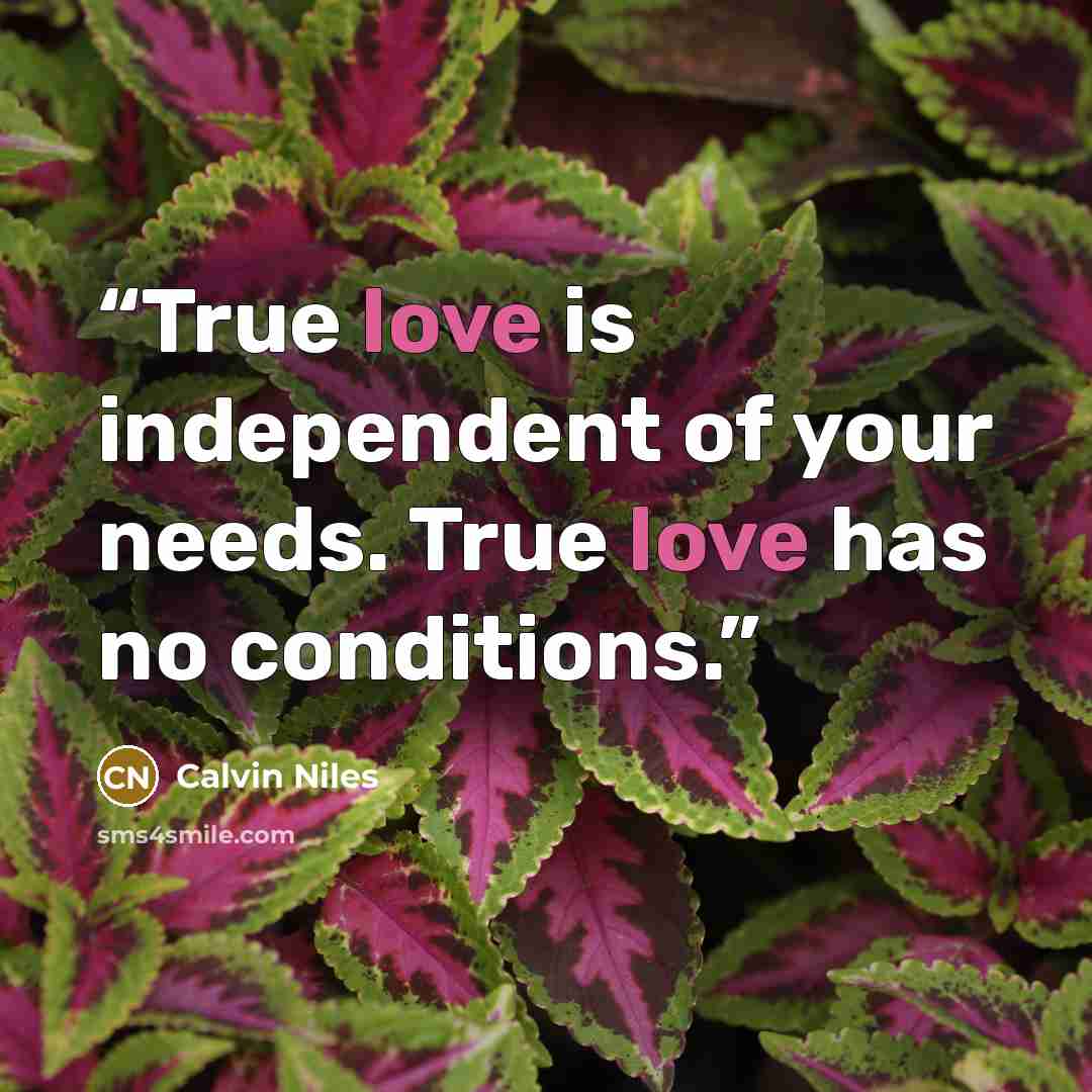 “True love is independent of your needs. True love has no conditions.” quote by Calvin Niles