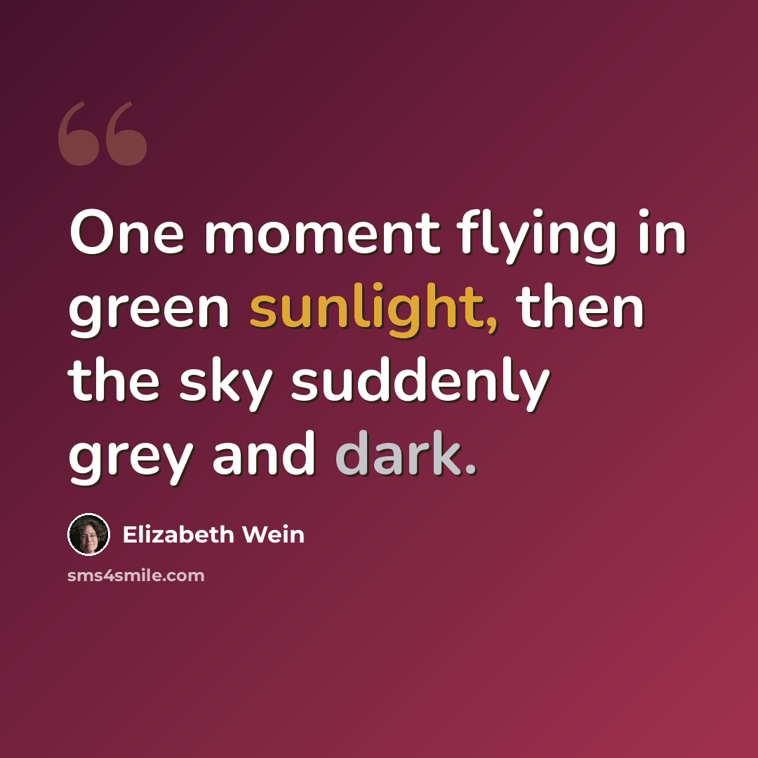“One moment flying in green sunlight, then the sky suddenly grey and dark.” quote by Elizabeth Wein