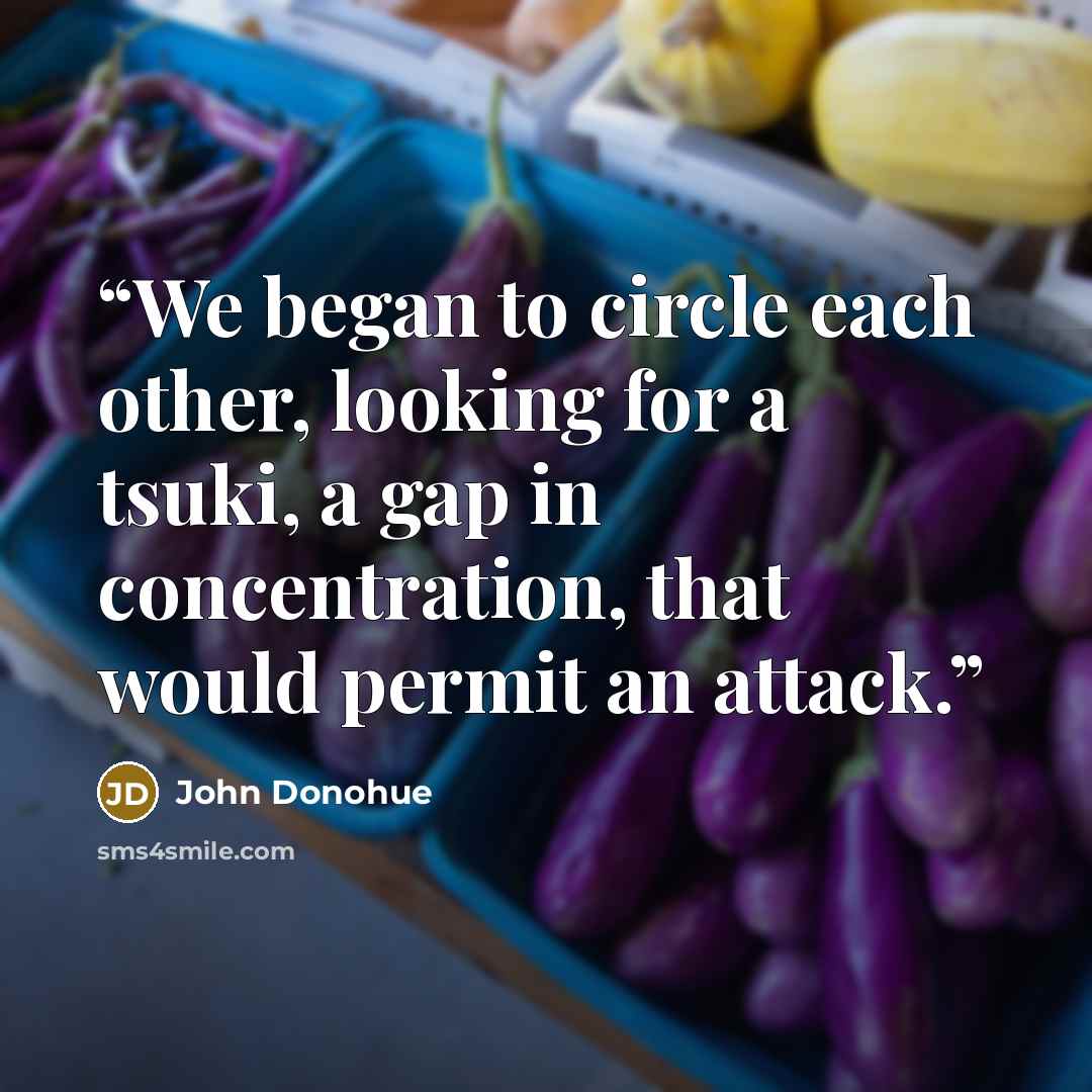 “We began to circle each other, looking for a tsuki, a gap in concentration, that would permit an attack.” quote by John Donohue