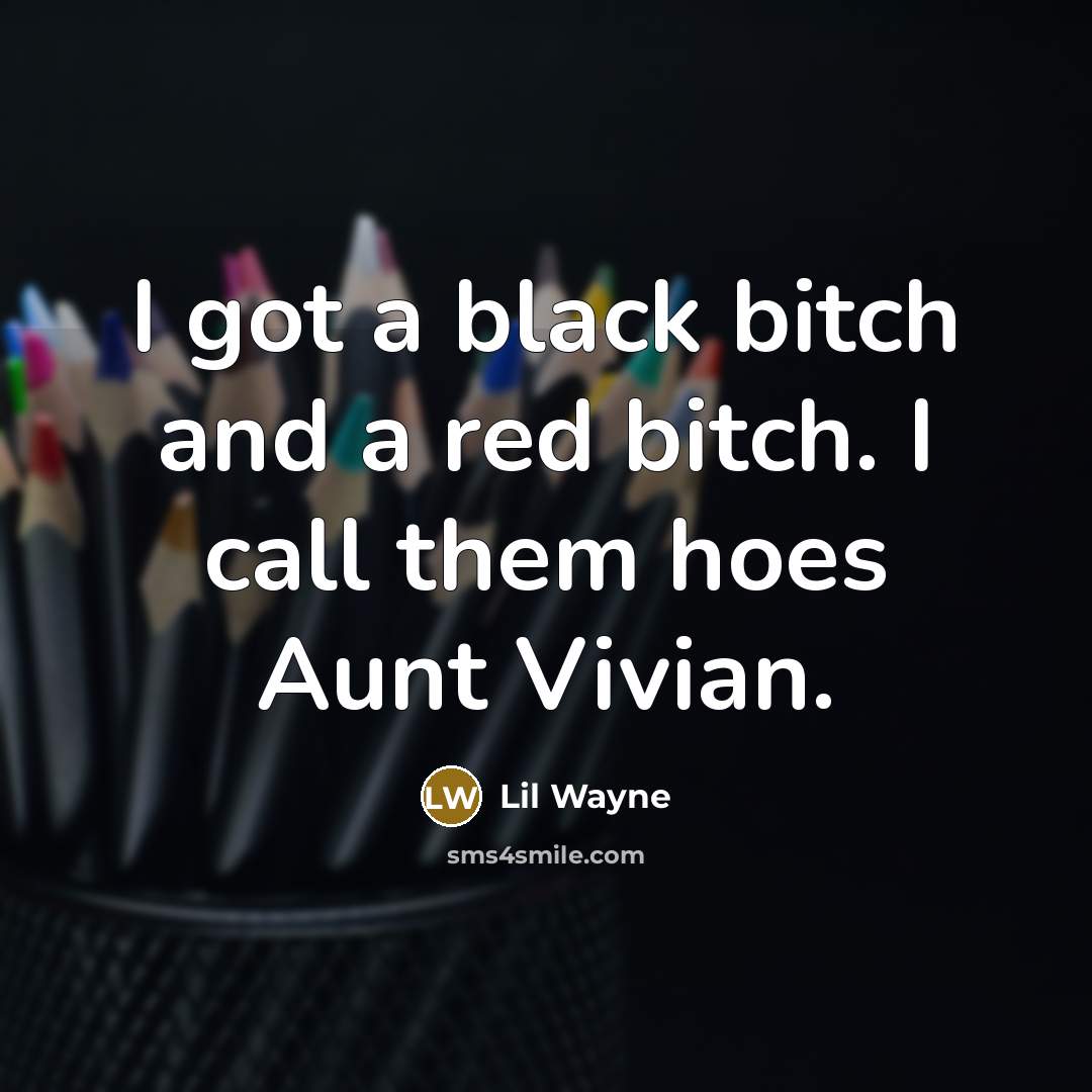 “I got a black bitch and a red bitch. I call them hoes Aunt Vivian.” quote by Lil Wayne