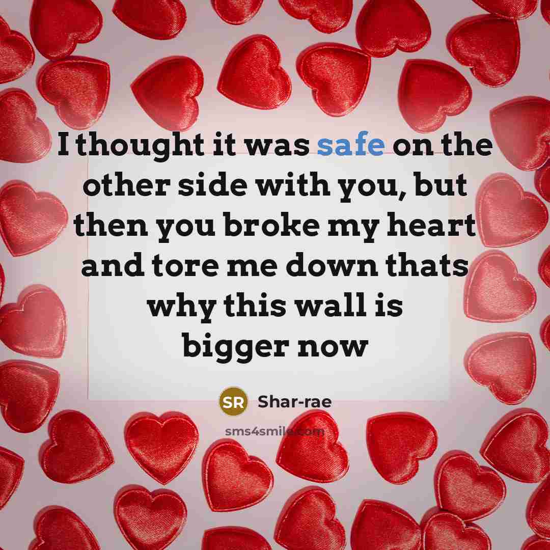 “I thought it was safe on the other side with you, but then you broke my heart and tore me down thats why this wall is bigger now” quote by Shar-rae
