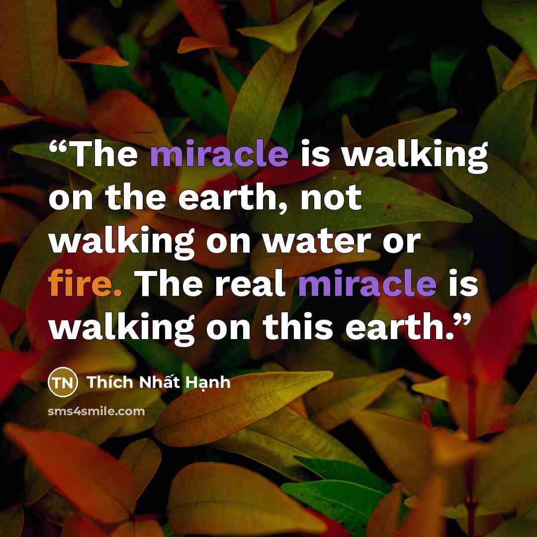 “The miracle is walking on the earth, not walking on water or fire. The real miracle is walking on this earth.” quote by Thich Nhat Hanh