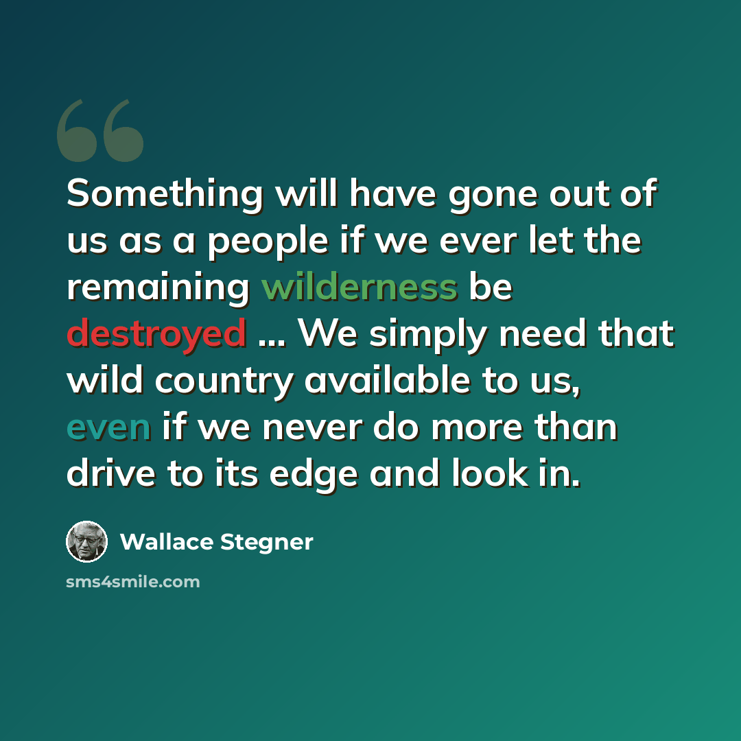 “Something will have gone out of us as a people if we ever let the remaining wilderness be destroyed ... We simply need that wild country available to us, even if we never do more than drive to its edge and look in.” quote by Wallace Stegner
