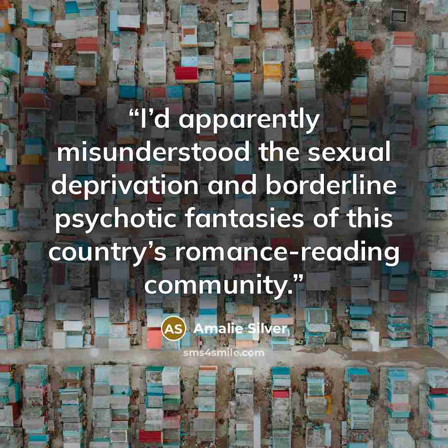 “I’d apparently misunderstood the sexual deprivation and borderline psychotic fantasies of this country’s romance-reading community.” quote by Amalie Silver