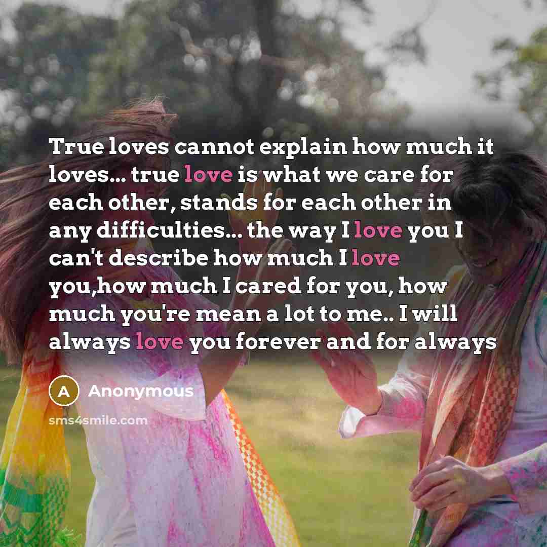 “True loves cannot explain how much it loves... true love is what we care for each other, stands for each other in any difficulties... the way I love you I can't describe how much I love you,how much I cared for you, how much you're mean a lot to me.. I will always love you forever and for always” quote by Anonymous