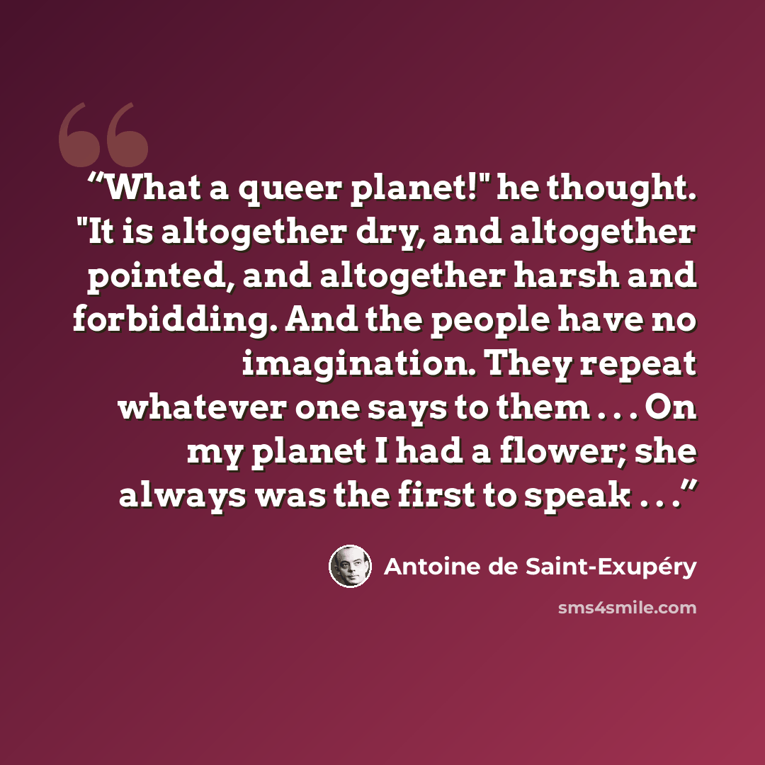 “What a queer planet!" he thought. "It is altogether dry, and altogether pointed, and altogether harsh and forbidding. And the people have no imagination. They repeat whatever one says to them . . . On my planet I had a flower; she always was the first to speak . . .” quote by Antoine de Saint-Exupéry