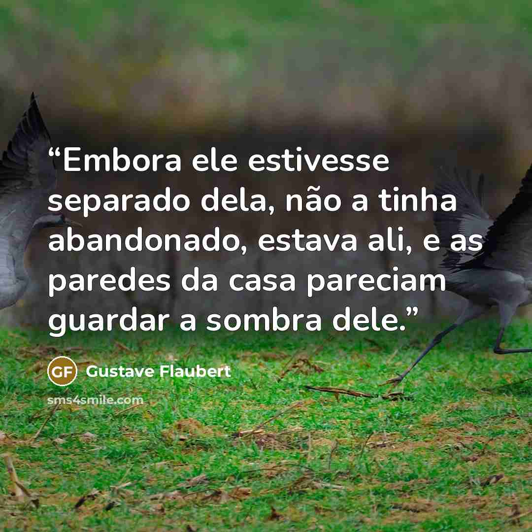 “Embora ele estivesse separado dela, não a tinha abandonado, estava ali, e as paredes da casa pareciam guardar a sombra dele.” quote by Gustave Flaubert