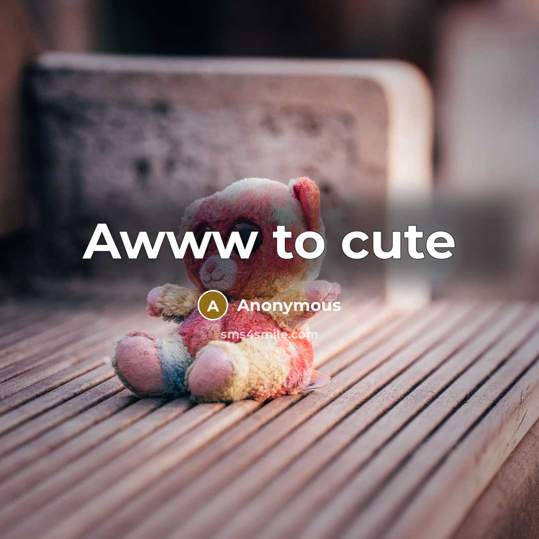 “Awww to cute” quote by Anonymous
