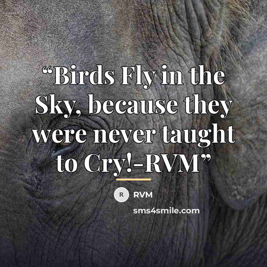 “Birds Fly in the Sky, because they were never taught to Cry!-RVM” quote by RVM