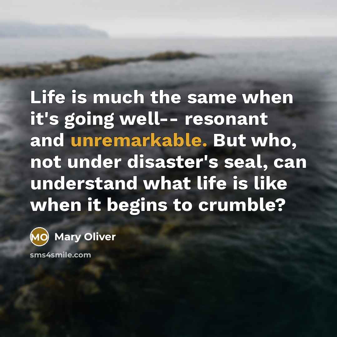 “Life is much the same when it's going well-- resonant and unremarkable. But who, not under disaster's seal, can understand what life is like when it begins to crumble?” quote by Mary Oliver