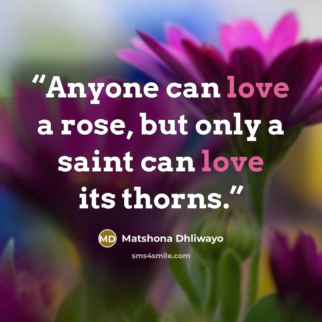 “Anyone can love a rose, but only a saint can love its thorns.” quote by Matshona Dhliwayo
