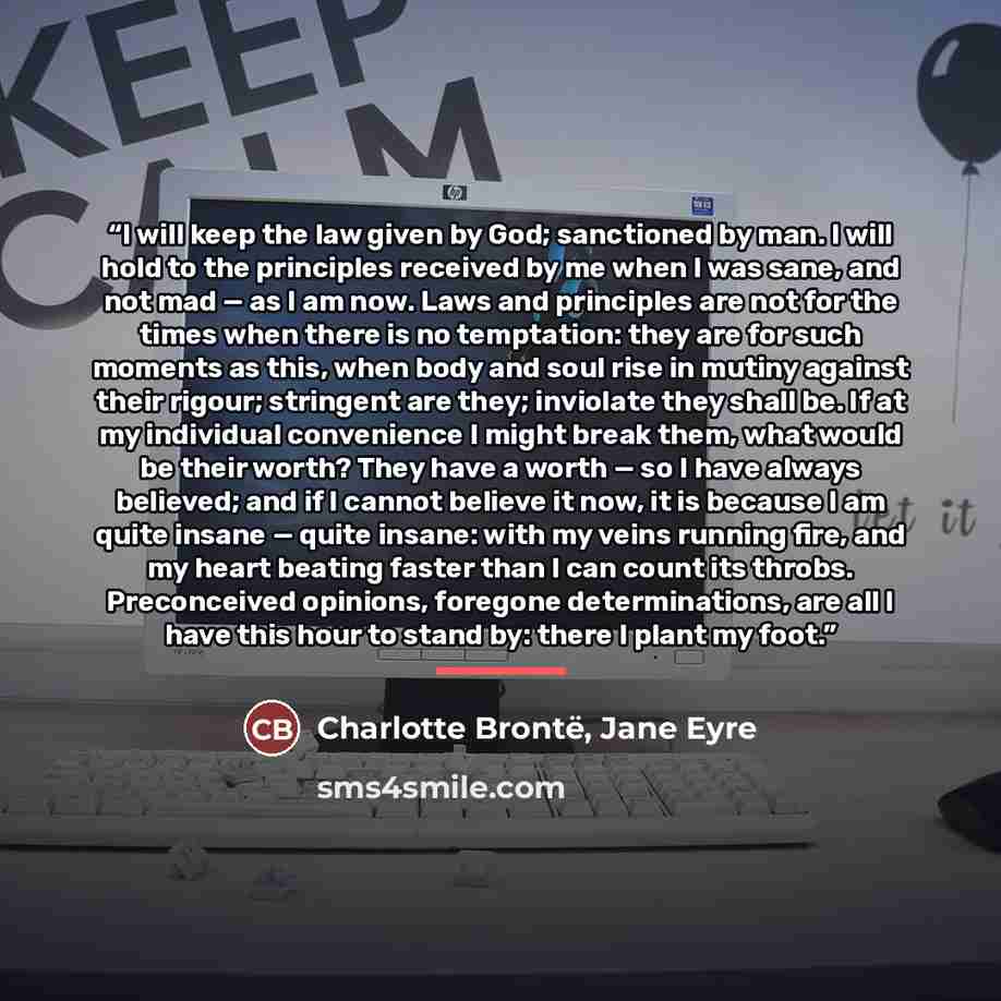 “I will keep the law given by God; sanctioned by man. I will hold to the principles received by me when I was sane, and not mad — as I am now. Laws and principles are not for the times when there is no temptation: they are for such moments as this, when body and soul rise in mutiny against their…” quote by Charlotte Brontë, Jane Eyre