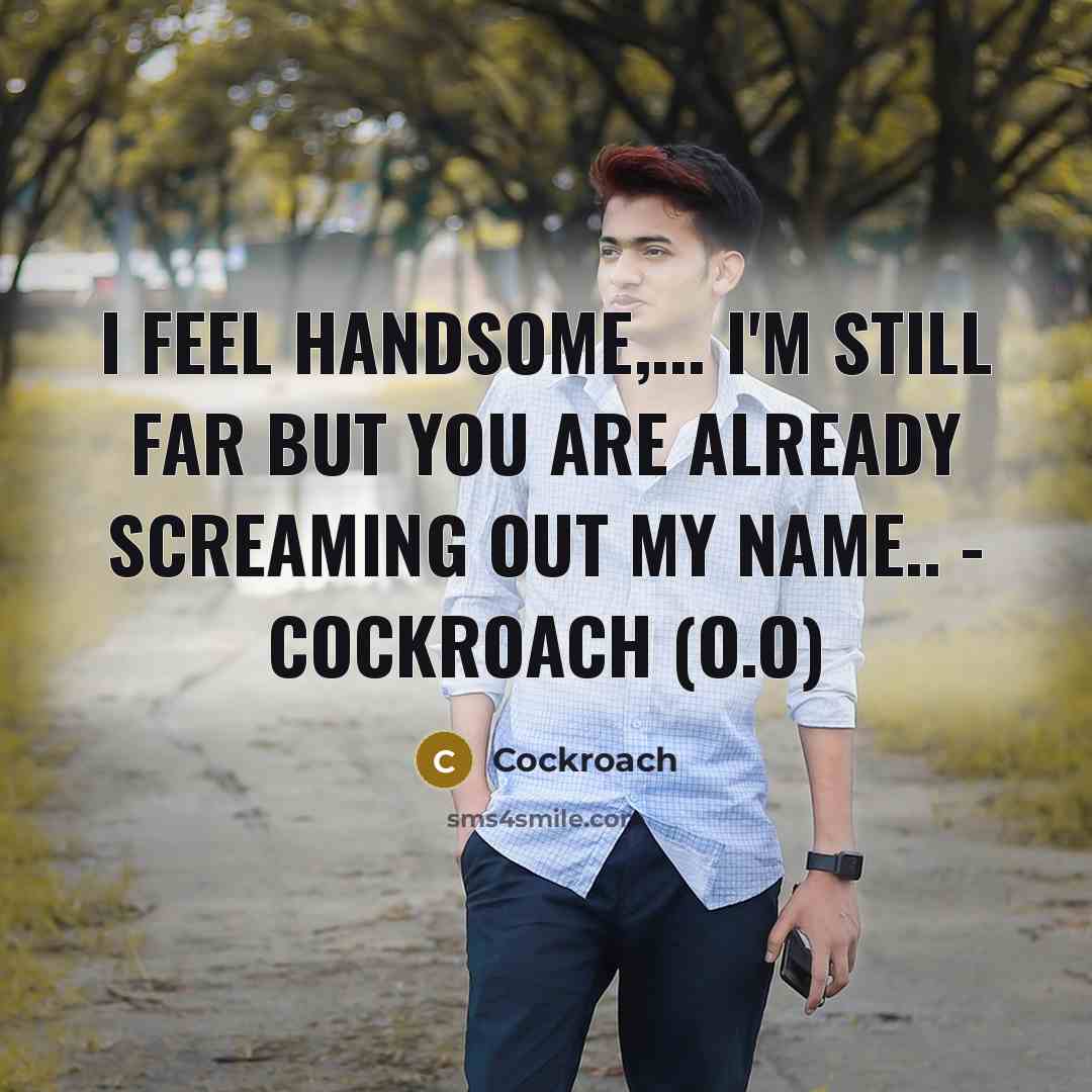 “I feel handsome,... I'm still far but you are already screaming out my name.. - COCKROACH (o.O)” quote by Cockroach