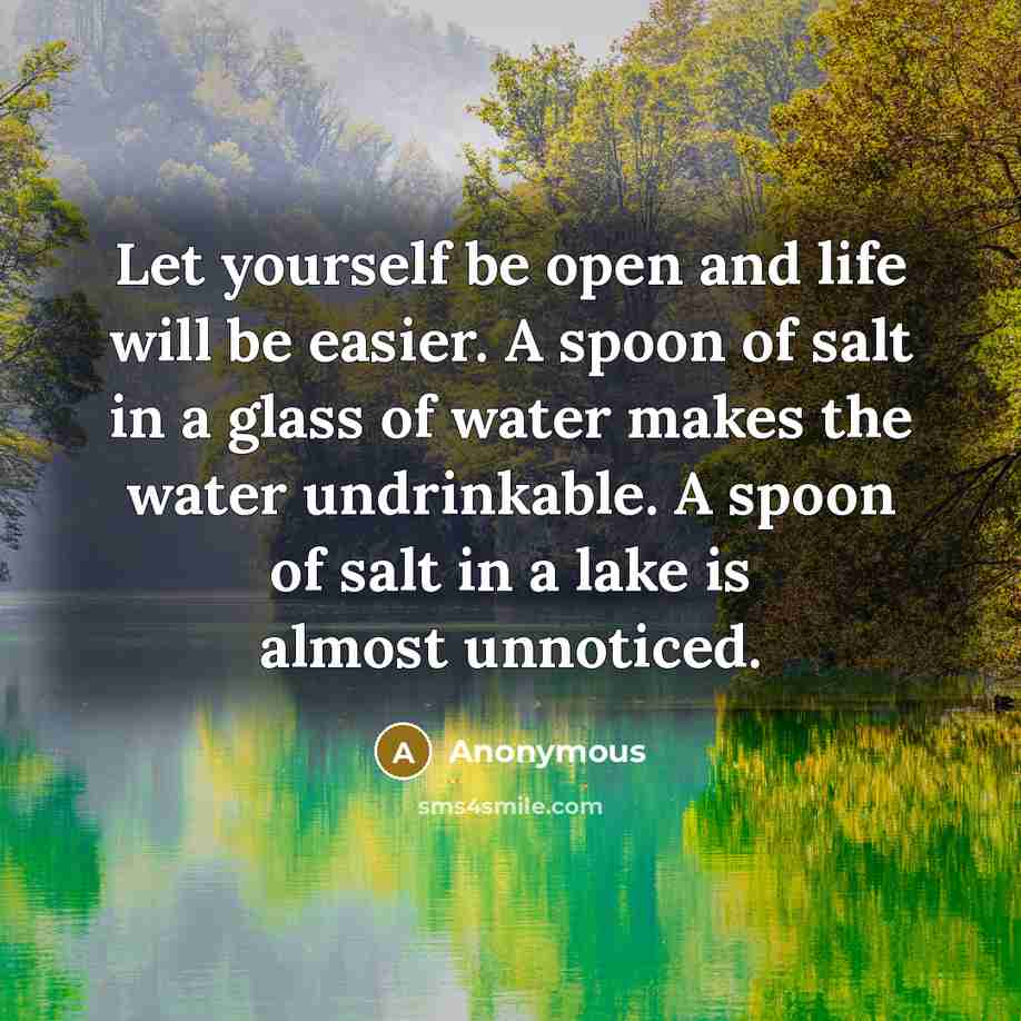 “Let yourself be open and life will be easier. A spoon of salt in a glass of water makes the water undrinkable. A spoon of salt in a lake is almost unnoticed.” quote by Anonymous