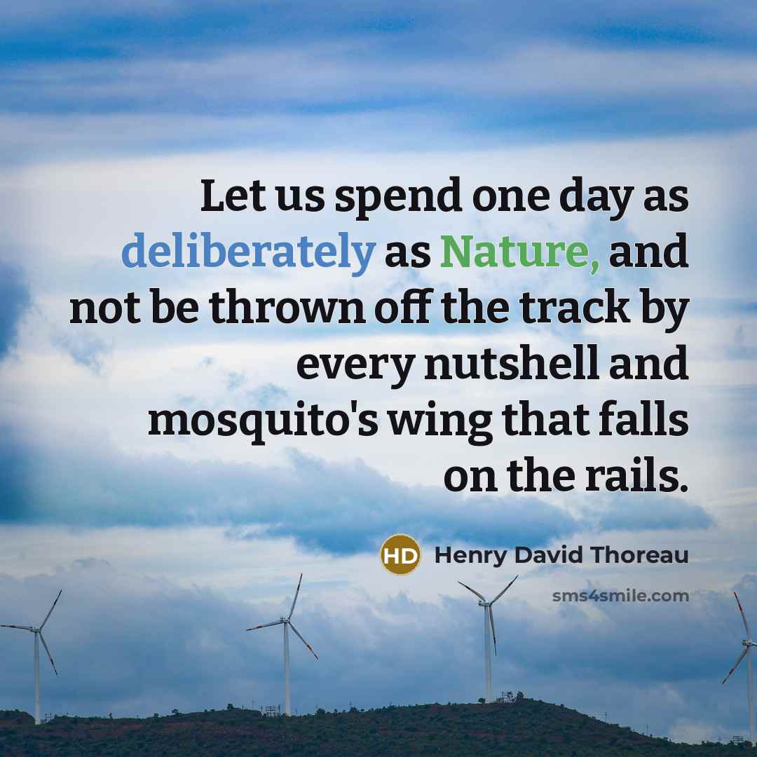 “Let us spend one day as deliberately as Nature, and not be thrown off the track by every nutshell and mosquito's wing that falls on the rails.” quote by Henry David Thoreau