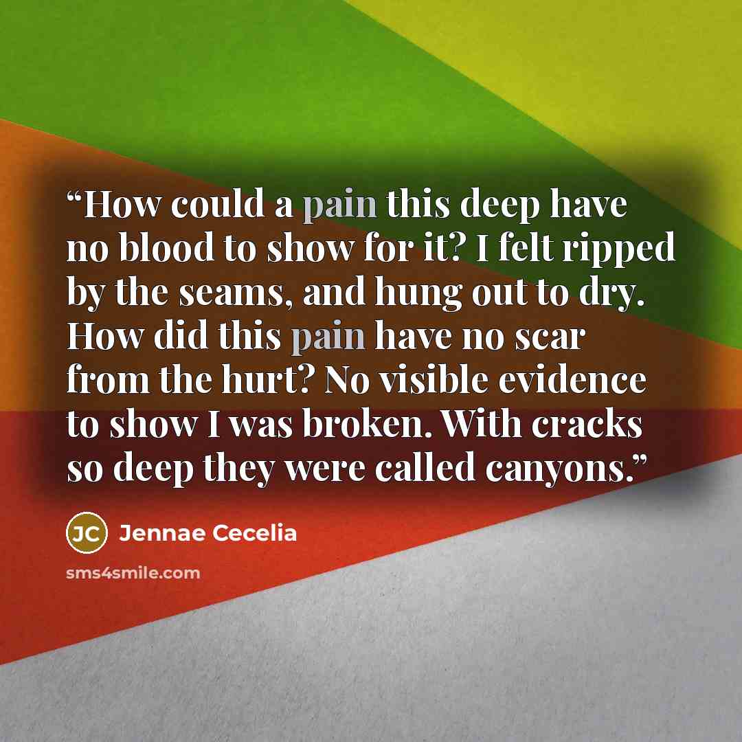 “How could a pain this deep have no blood to show for it? I felt ripped by the seams, and hung out to dry. How did this pain have no scar from the hurt? No visible evidence to show I was broken. With cracks so deep they were called canyons.” quote by Jennae Cecelia