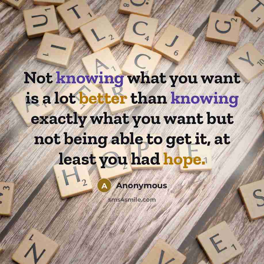 “Not knowing what you want is a lot better than knowing exactly what you want but not being able to get it, at least you had hope.” quote by Anonymous