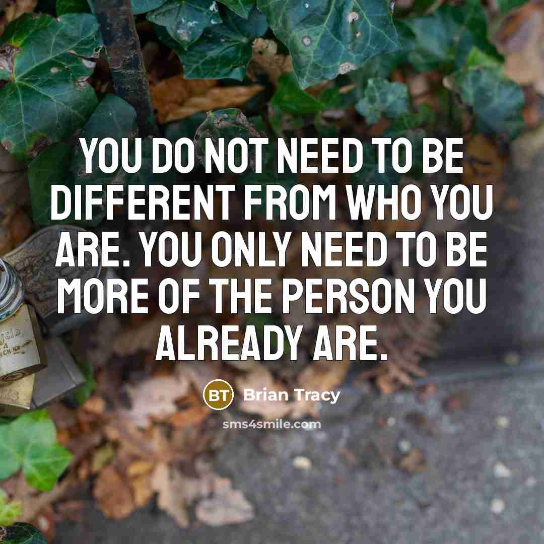 “You do not need to be different from who you are. You only need to be more of the person you already are.” quote by Brian Tracy