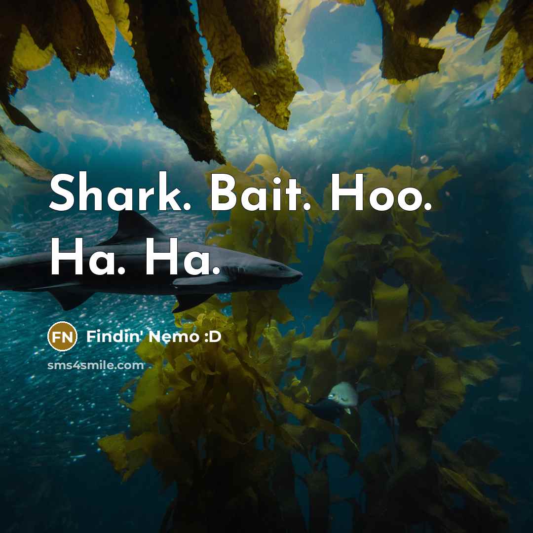 “Shark. Bait. Hoo. Ha. Ha.” quote by Findin' Nemo :D