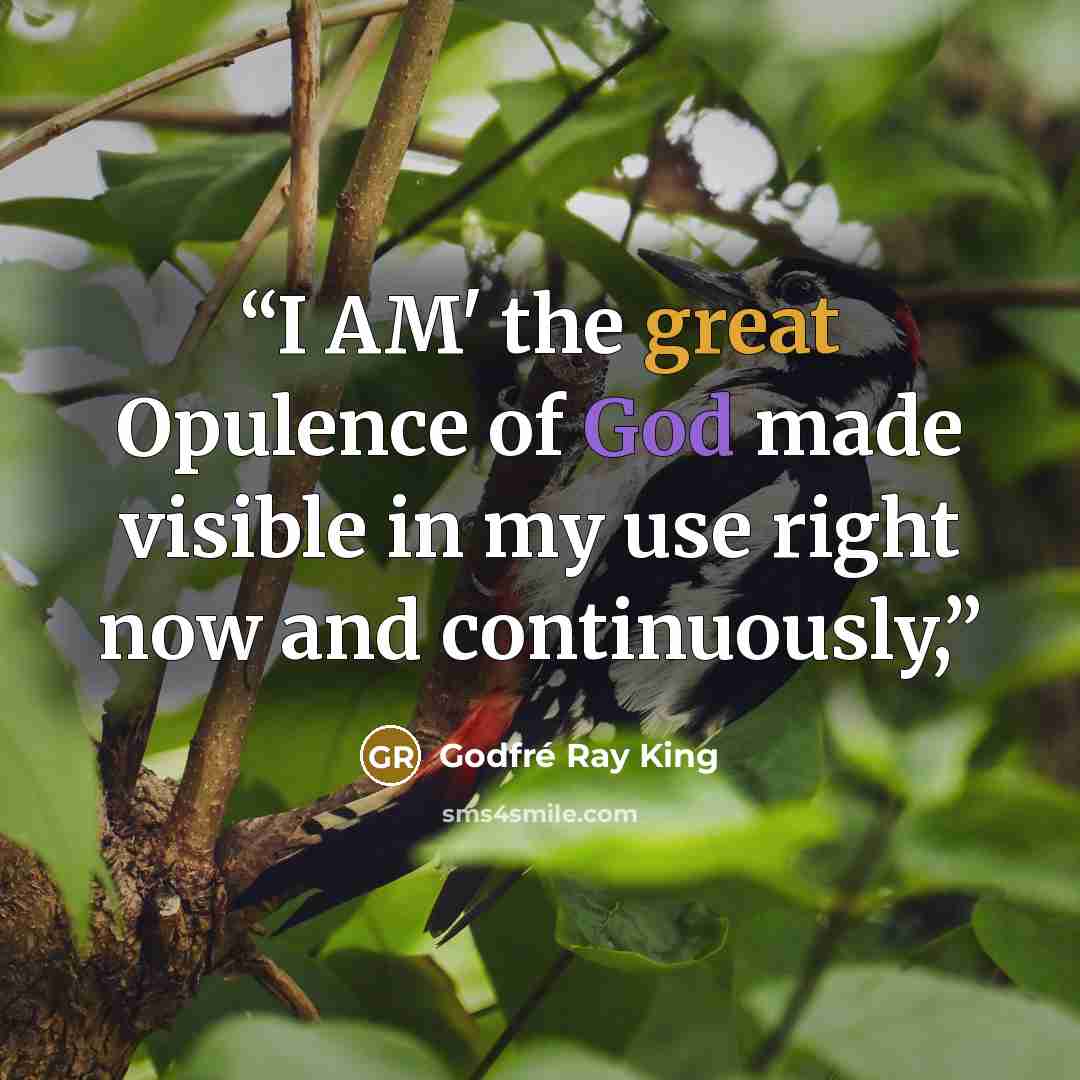 “I AM' the great Opulence of God made visible in my use right now and continuously,” quote by Godfré Ray King