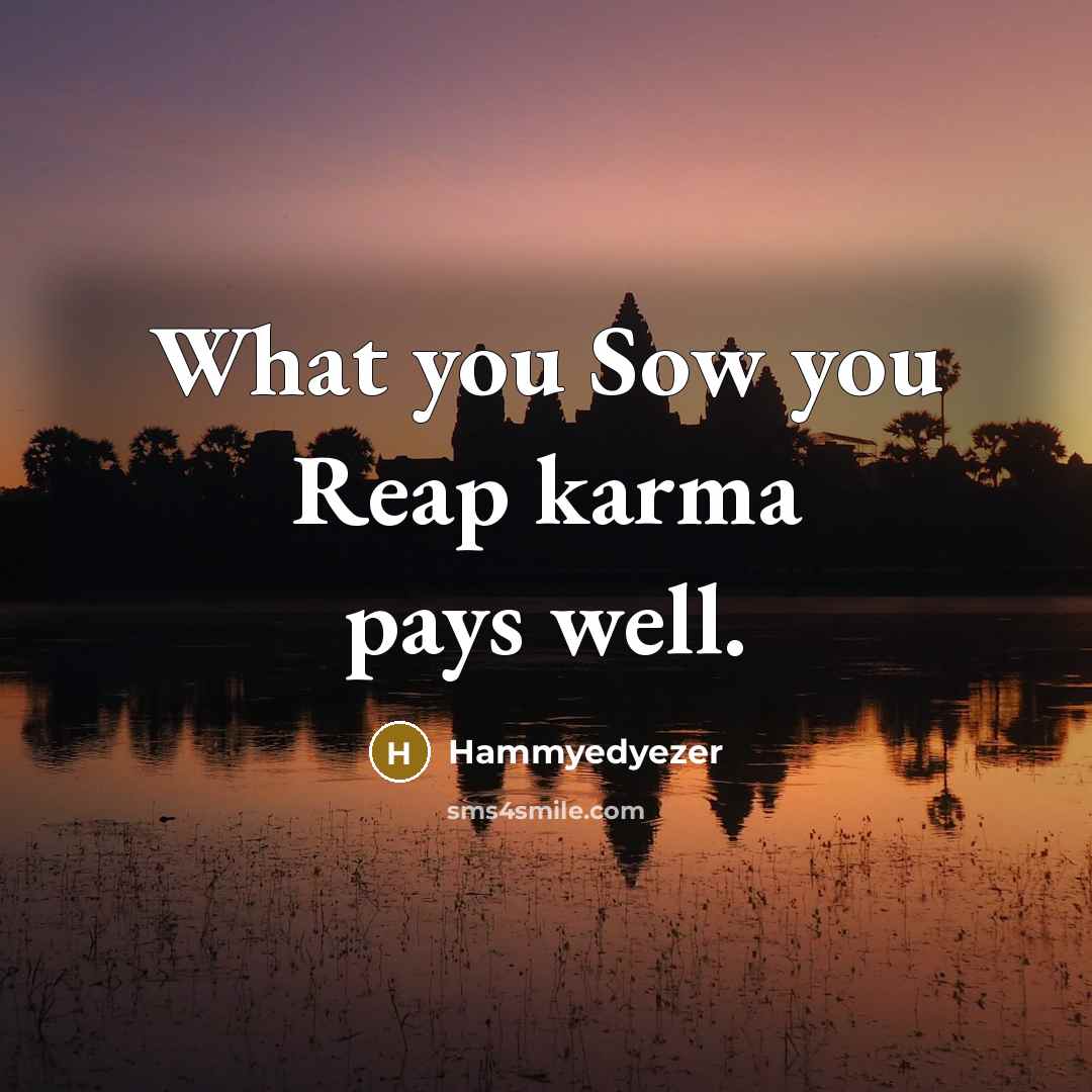 “What you Sow you Reap karma pays well.” quote by Hammyedyezer