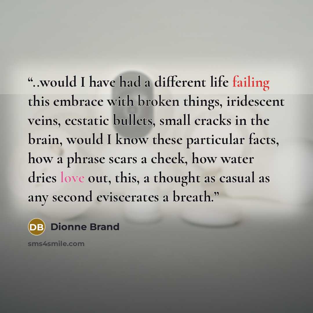 “..would I have had a different life failing this embrace with broken things, iridescent veins, ecstatic bullets, small cracks in the brain, would I know these particular facts, how a phrase scars a cheek, how water dries love out, this, a thought as casual as any second eviscerates a breath.” quote by Dionne Brand