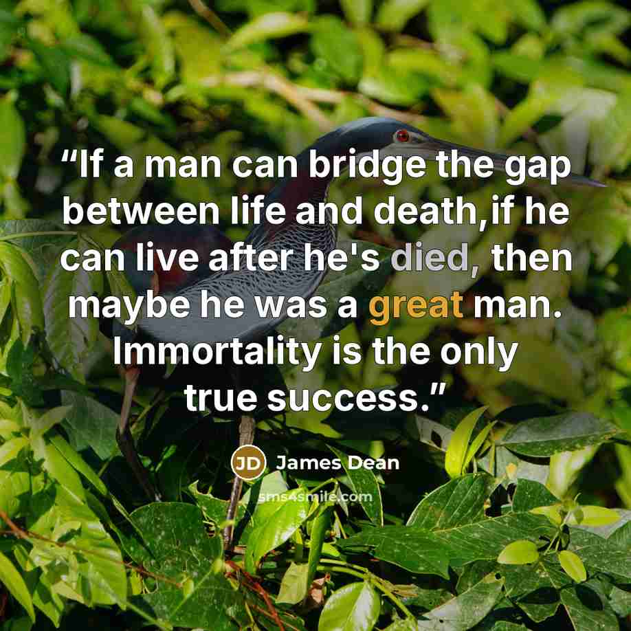 “If a man can bridge the gap between life and death,if he can live after he's died, then maybe he was a great man. Immortality is the only true success.” quote by James Dean