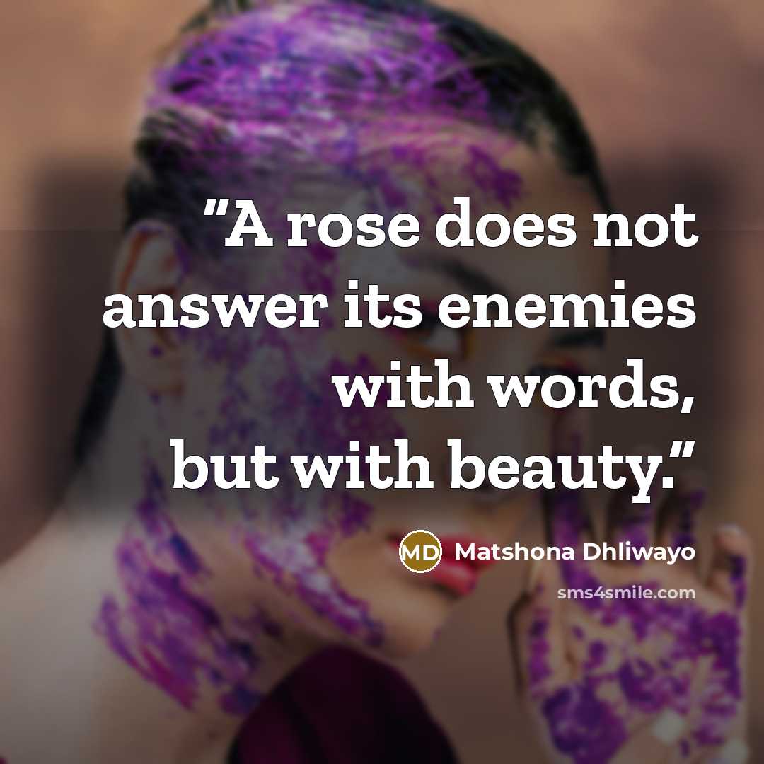 “A rose does not answer its enemies with words, but with beauty.” quote by Matshona Dhliwayo
