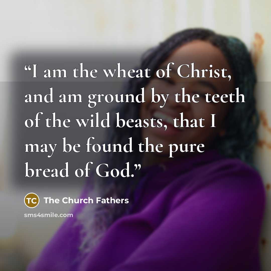 “I am the wheat of Christ, and am ground by the teeth of the wild beasts, that I may be found the pure bread of God.” quote by The Church Fathers