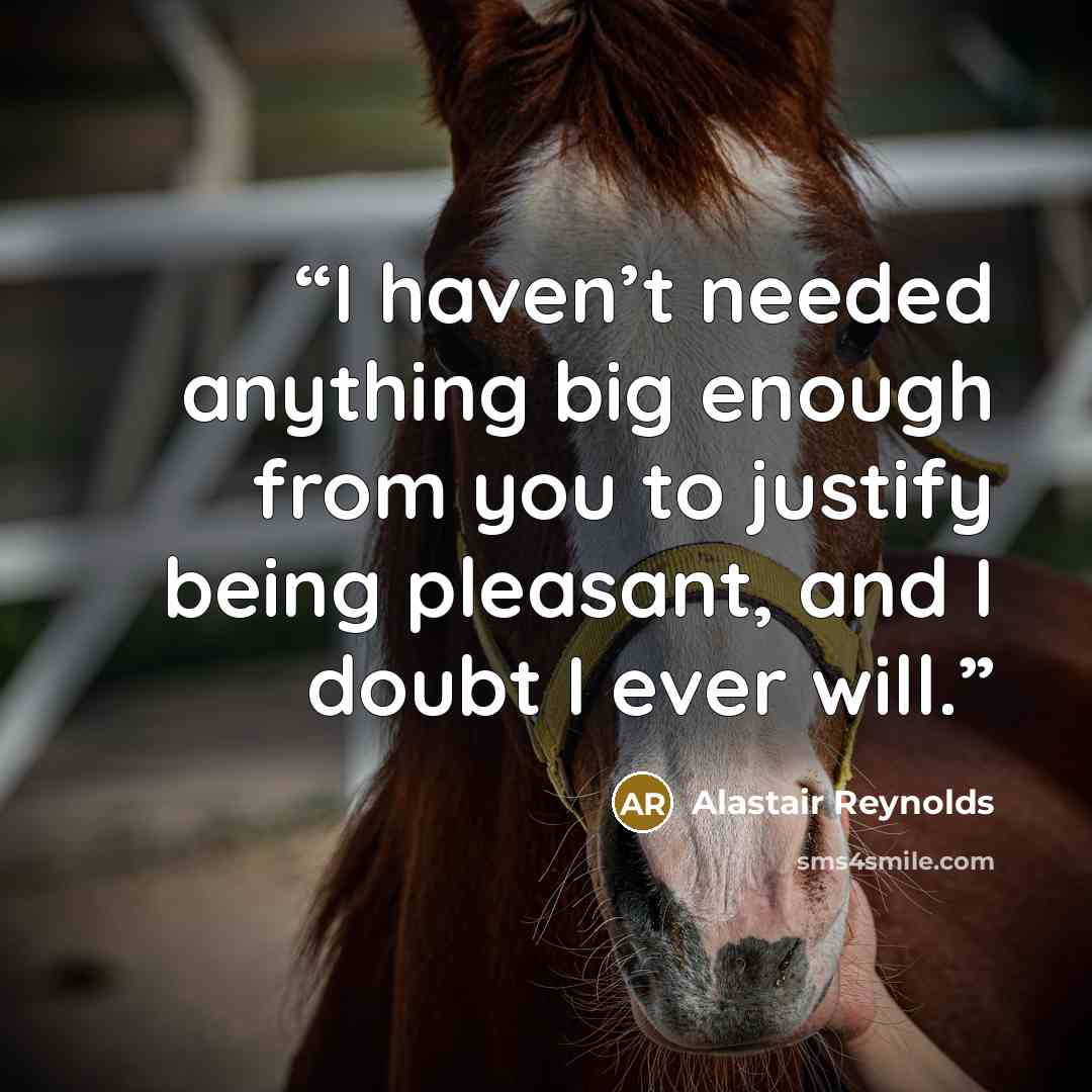 “I haven’t needed anything big enough from you to justify being pleasant, and I doubt I ever will.” quote by Alastair Reynolds