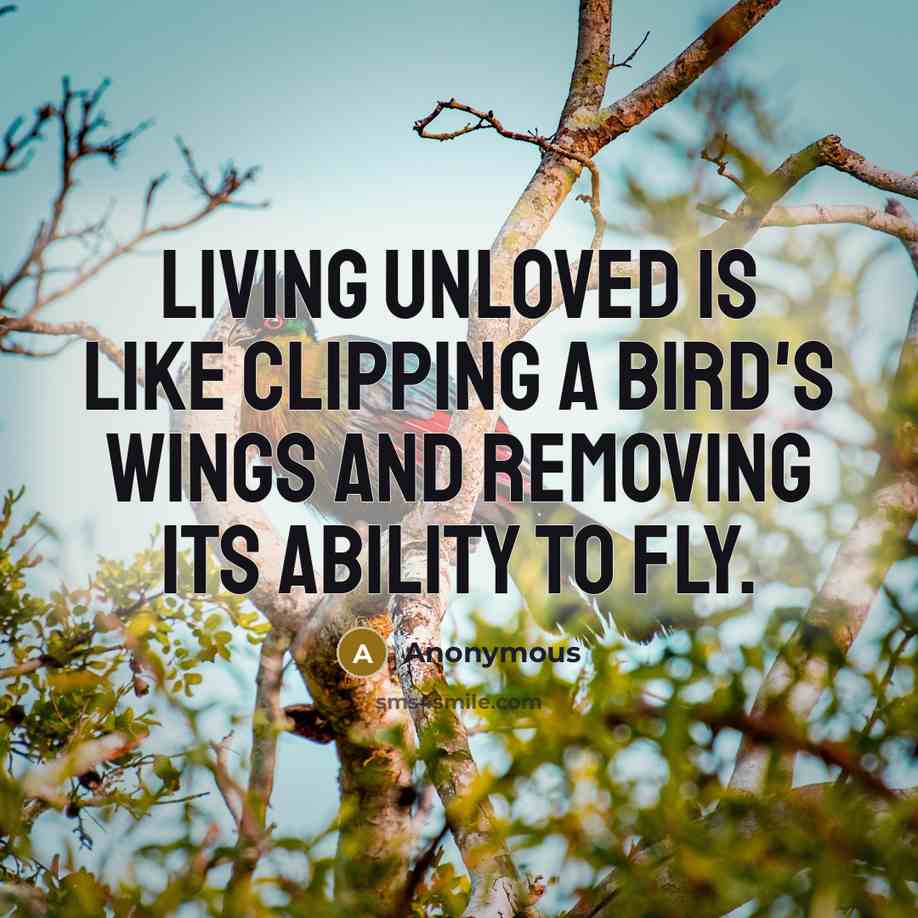 “Living unloved is like clipping a bird's wings and removing its ability to fly.” quote by Anonymous