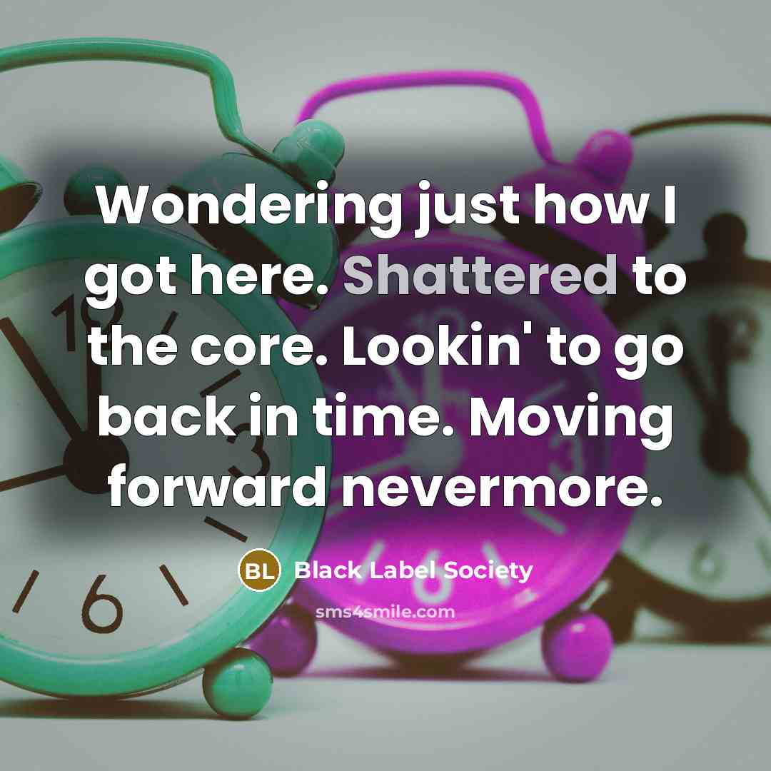 “Wondering just how I got here. Shattered to the core. Lookin' to go back in time. Moving forward nevermore.” quote by Black Label Society