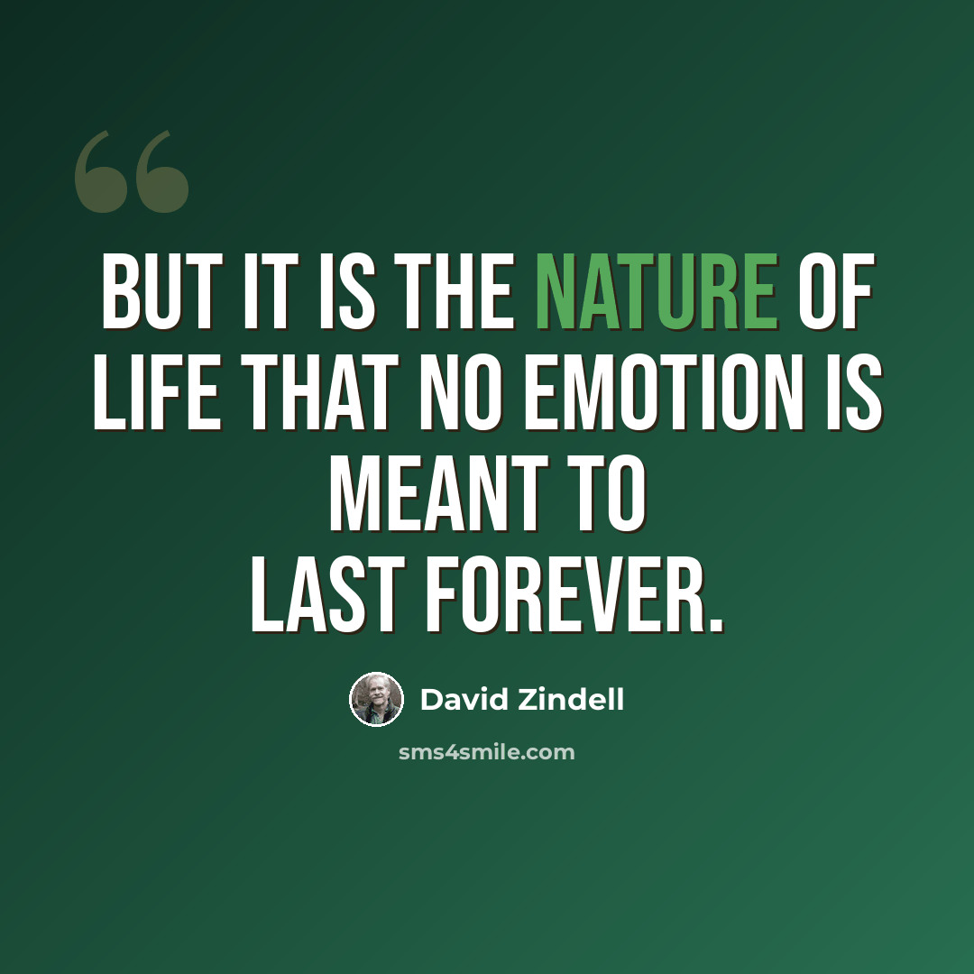 “But it is the nature of life that no emotion is meant to last forever.” quote by David Zindell