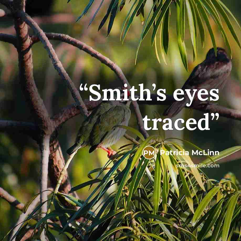 “Smith’s eyes traced” quote by Patricia McLinn