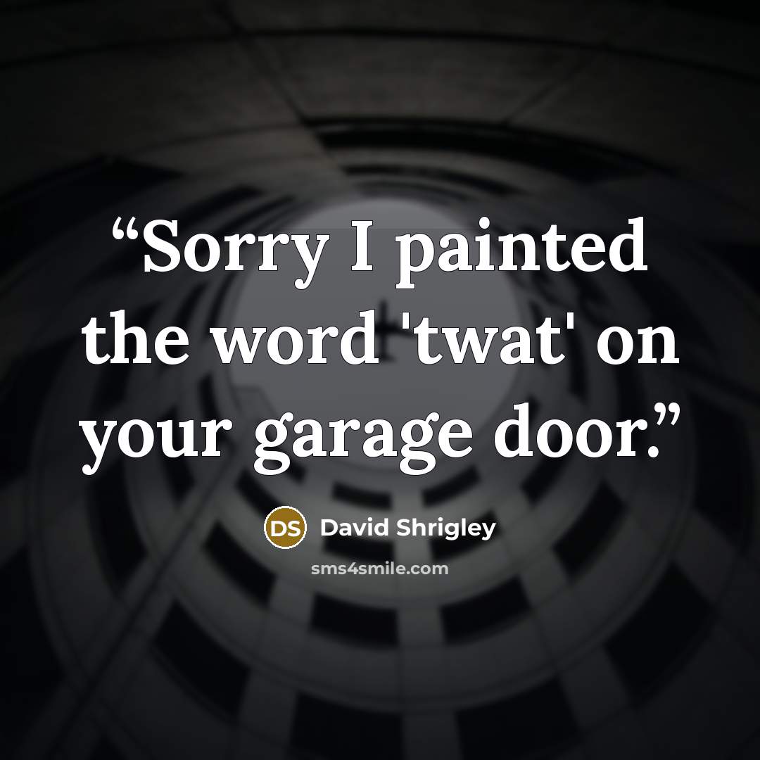 “Sorry I painted the word 'twat' on your garage door.” quote by David Shrigley