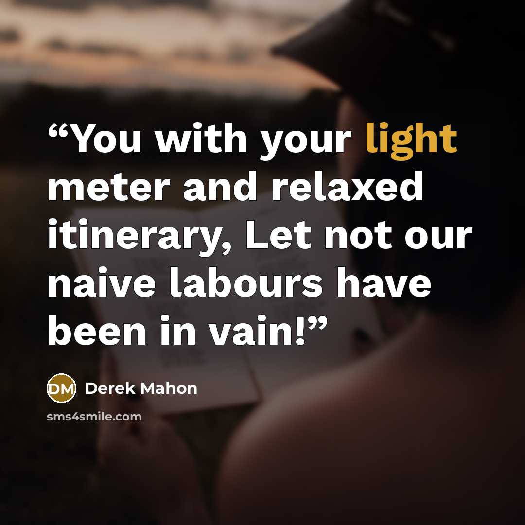 “You with your light meter and relaxed itinerary, Let not our naive labours have been in vain!” quote by Derek Mahon