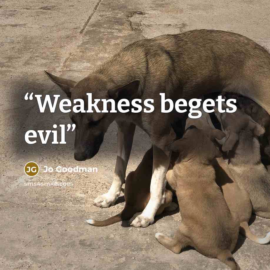 “Weakness begets evil” quote by Jo Goodman