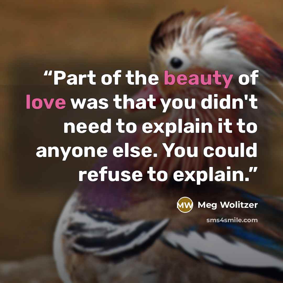 “Part of the beauty of love was that you didn't need to explain it to anyone else. You could refuse to explain.” quote by Meg Wolitzer